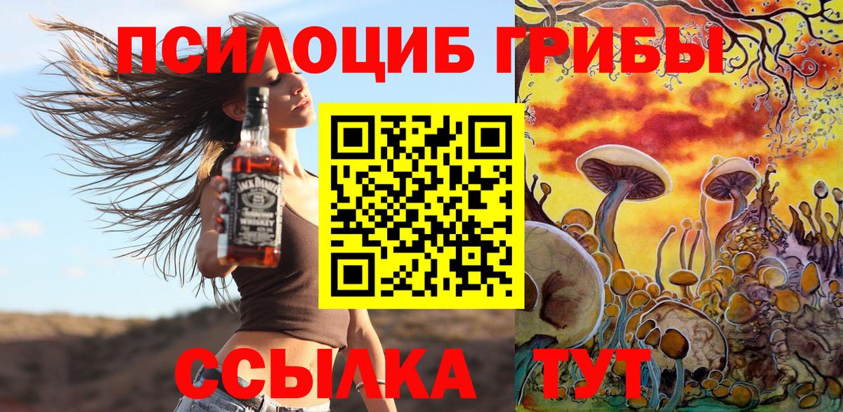 Видное  Псилоцибиновые грибы мухоморы  сколько стоит  Вход с VPN 